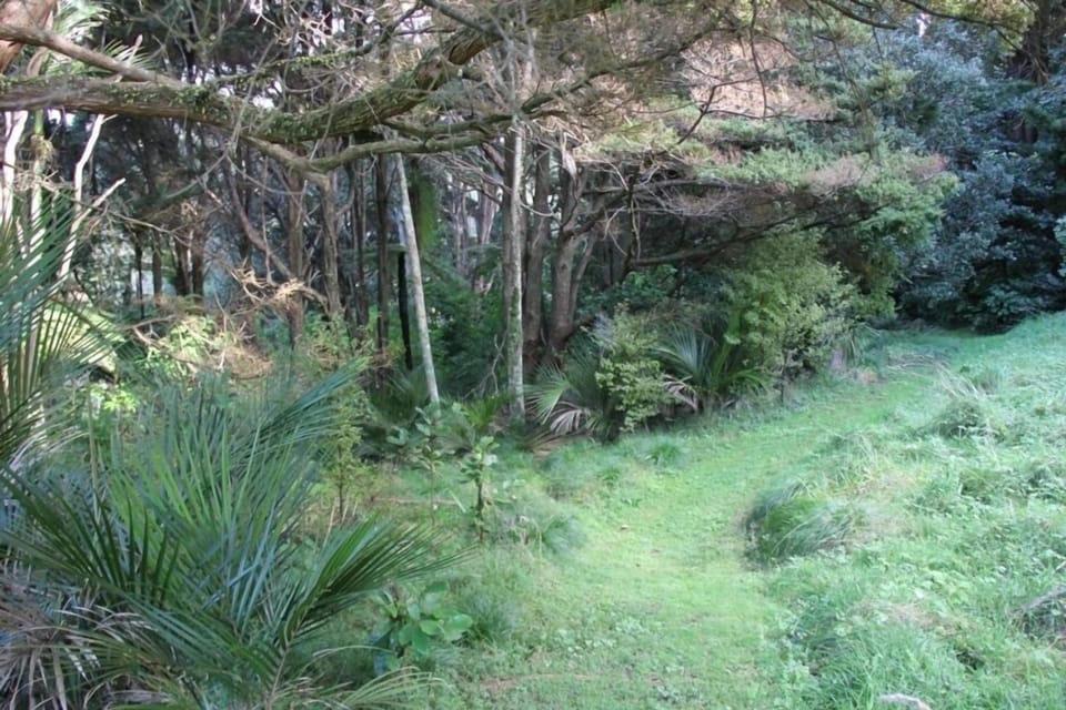 Bush walk