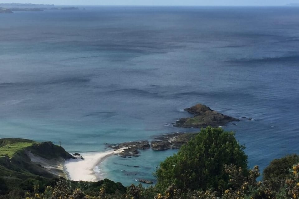 A view from the Bream Head/Te Whara Track.
