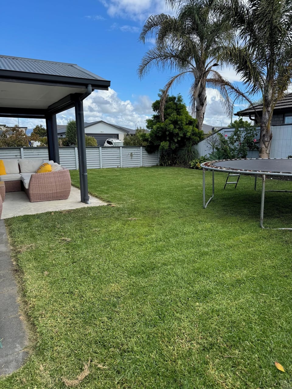 Back yard