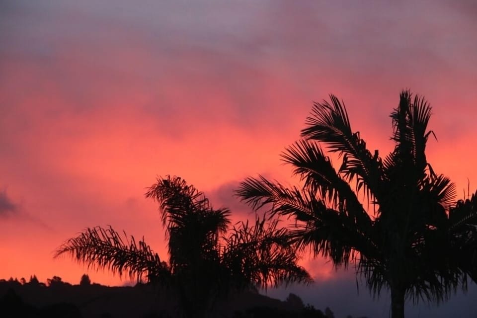 Whangapoua sunset