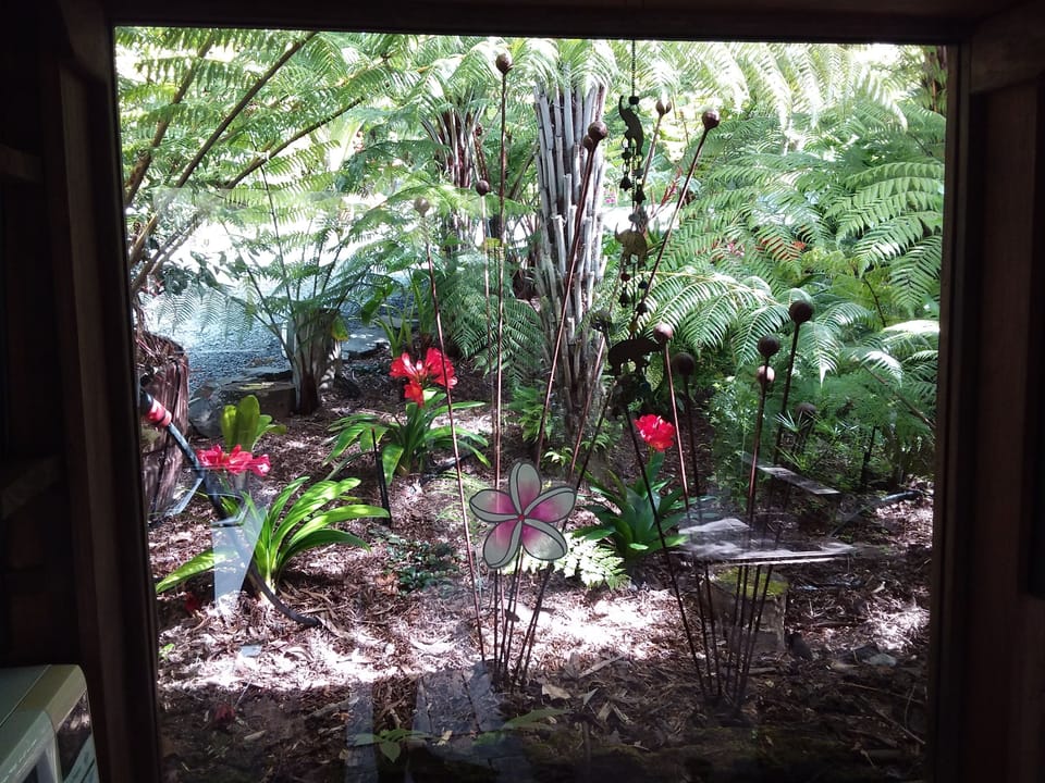 View out Kitchen Window