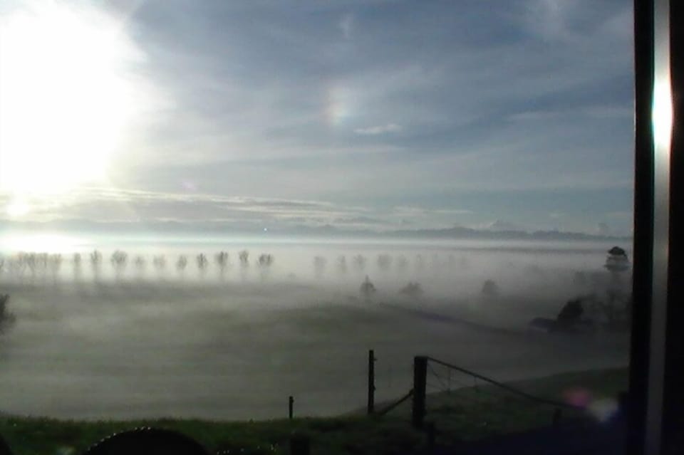 Misty Morning