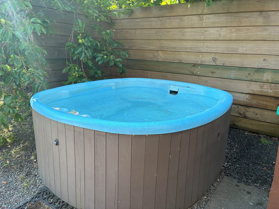 Spa (fits four)
