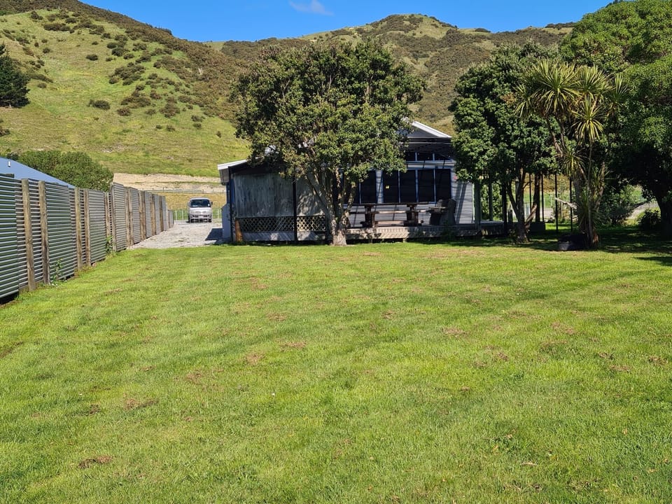 View from back of section.