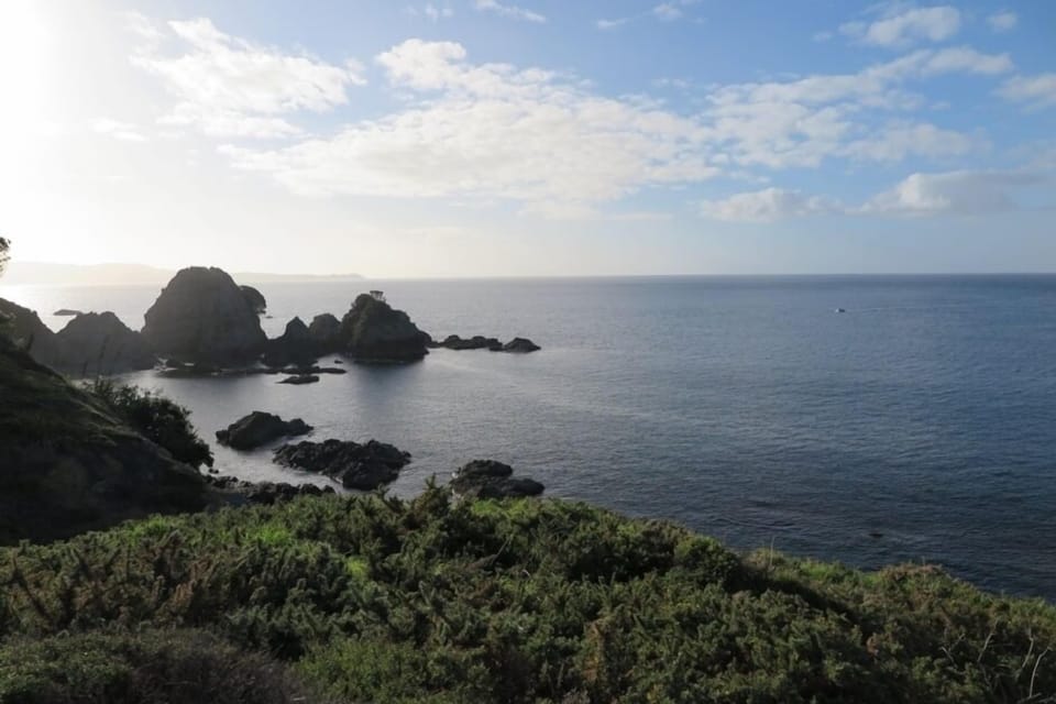 Tawharanui Park, 3km