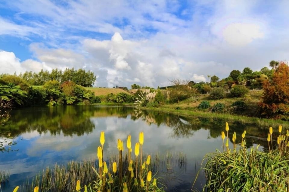 pond