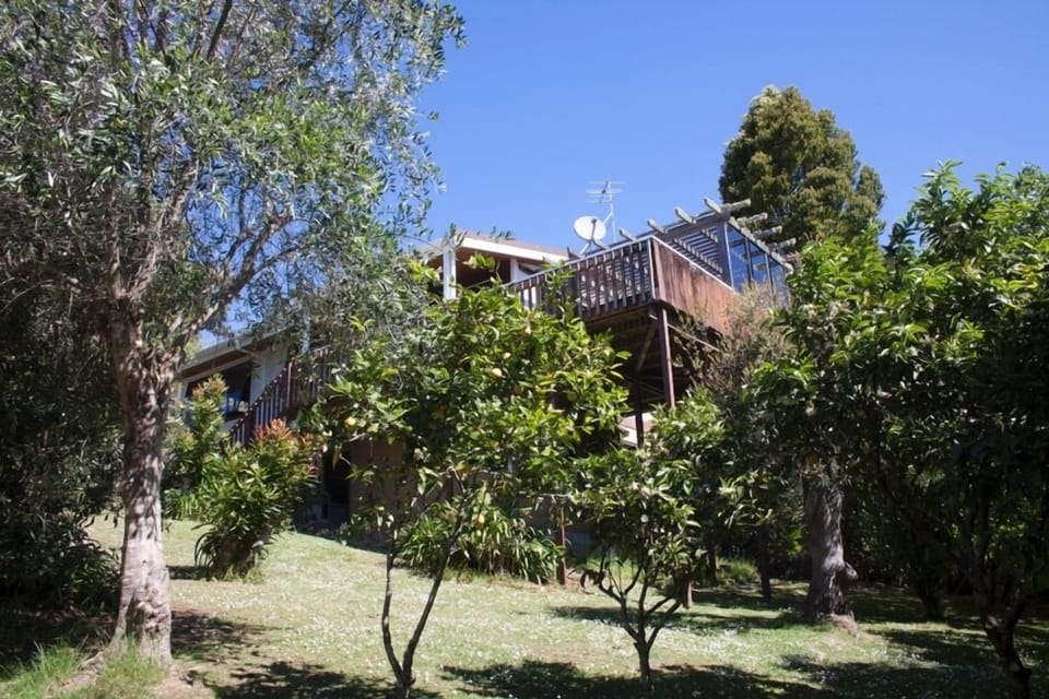 The house from the bottom of the garden