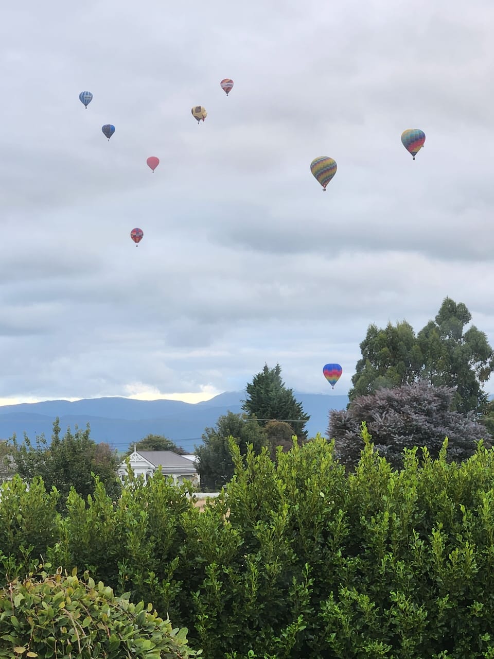 Easter - Balloons over Martinborough - you'll need to be up early to see these!