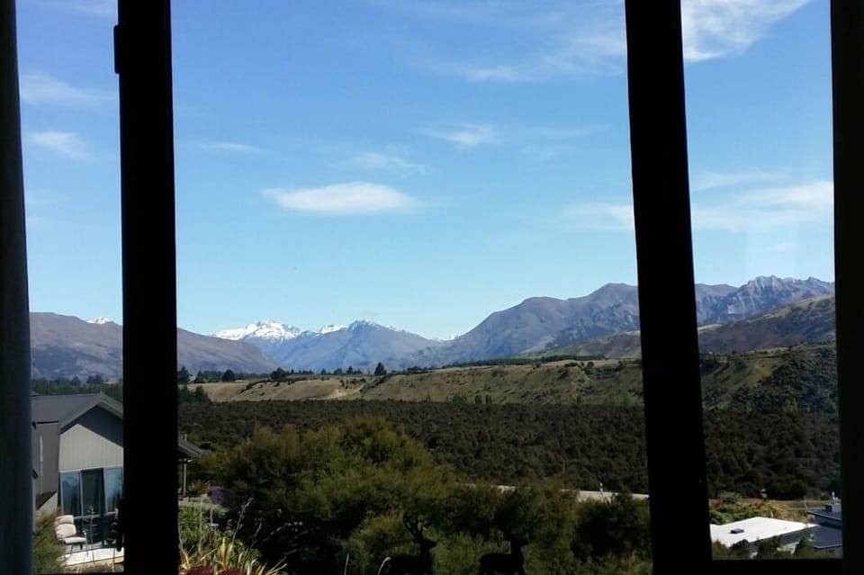 Living room window views