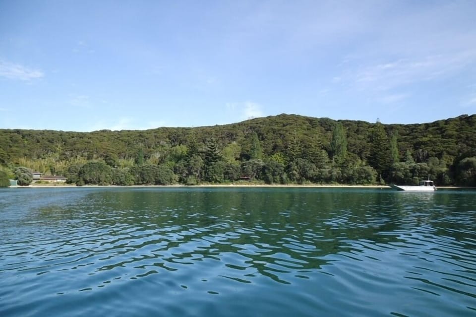 Bay