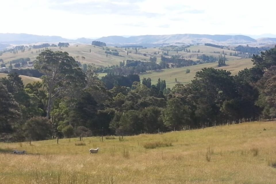 Views from top of farm towards Ruahine Ranges. Beautiful views.
