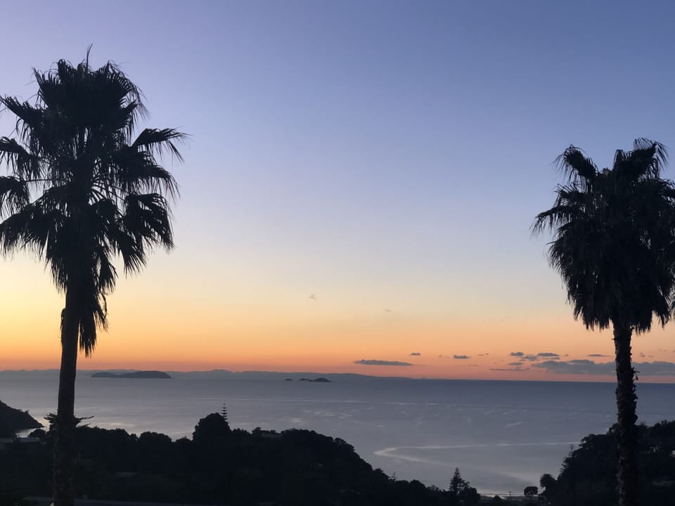 Beach/ocean view