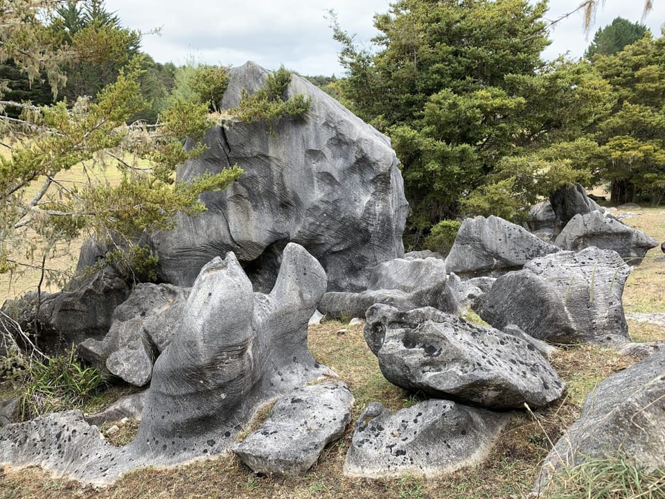 Abbey Caves - 12 min drive