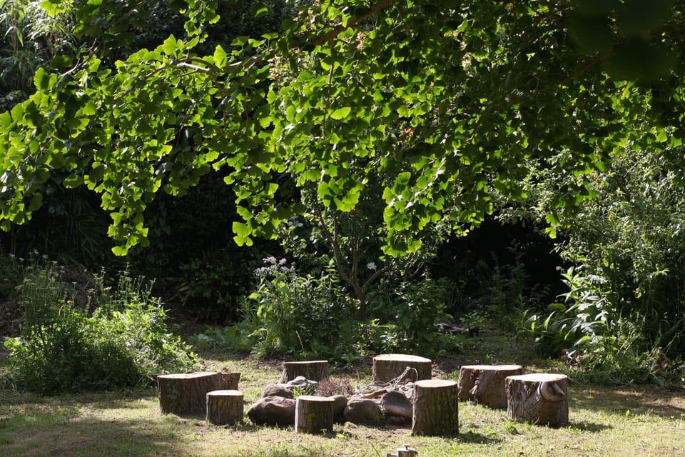 Firepit