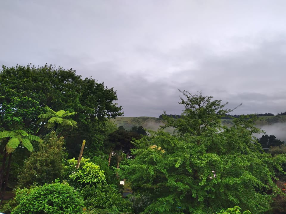 Rainy day view from the bedroom