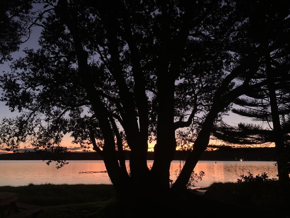 View over the Estuary