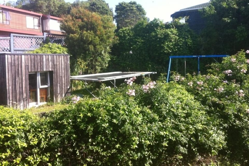 Trampoline. (Swings have since been removed.)