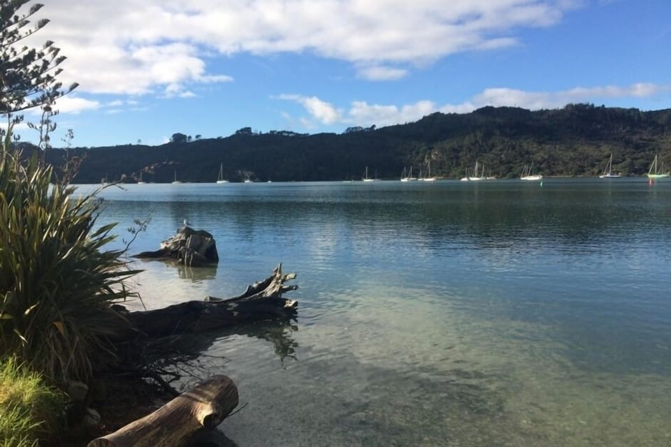 Estuary views