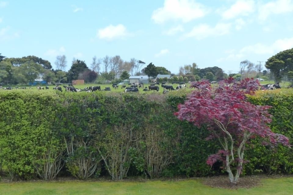 Garden andamp; Surrounding Paddock