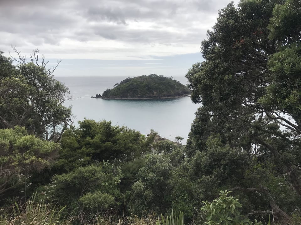 View from deck
