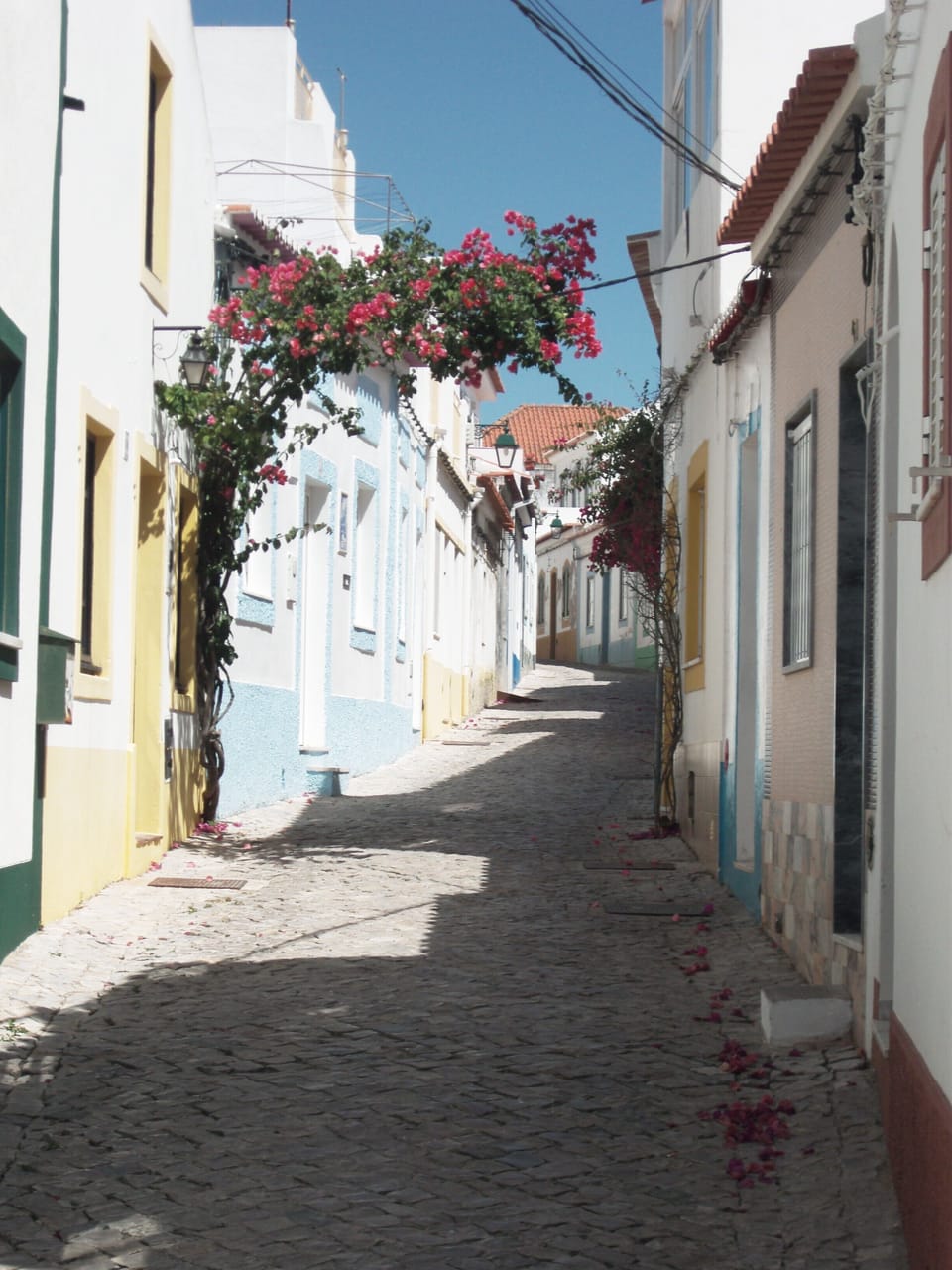 Typical street in the village