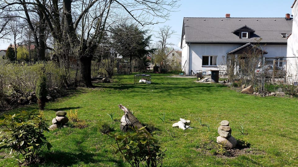 View from the huge garden