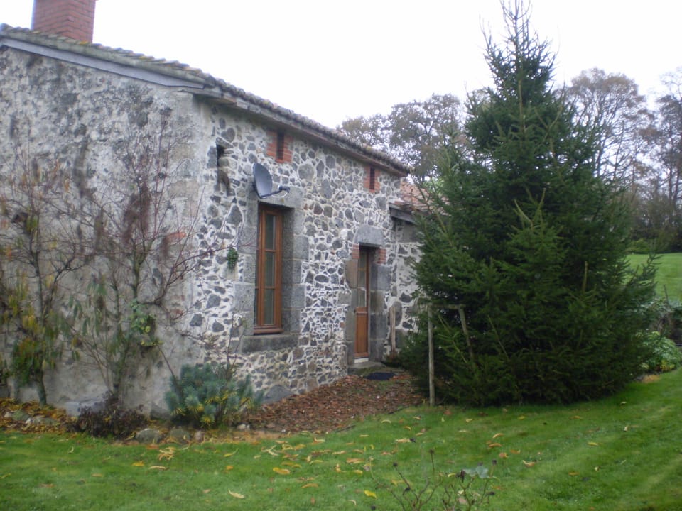 front aspect
