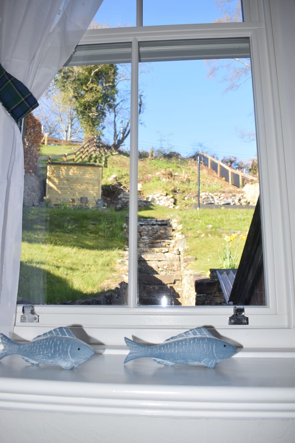 View of the garden from the landing window