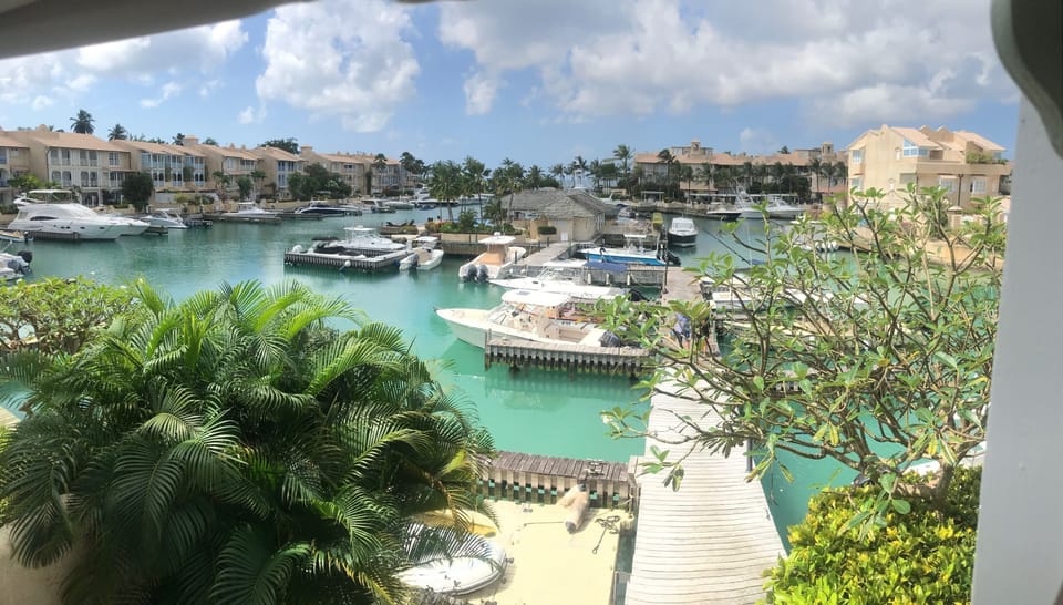 The View