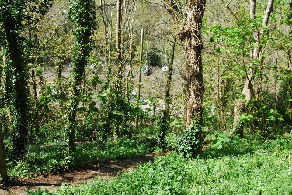 Our path down to Froe creek
