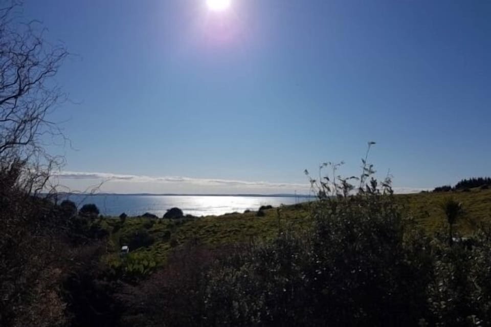 Rear View from Deck