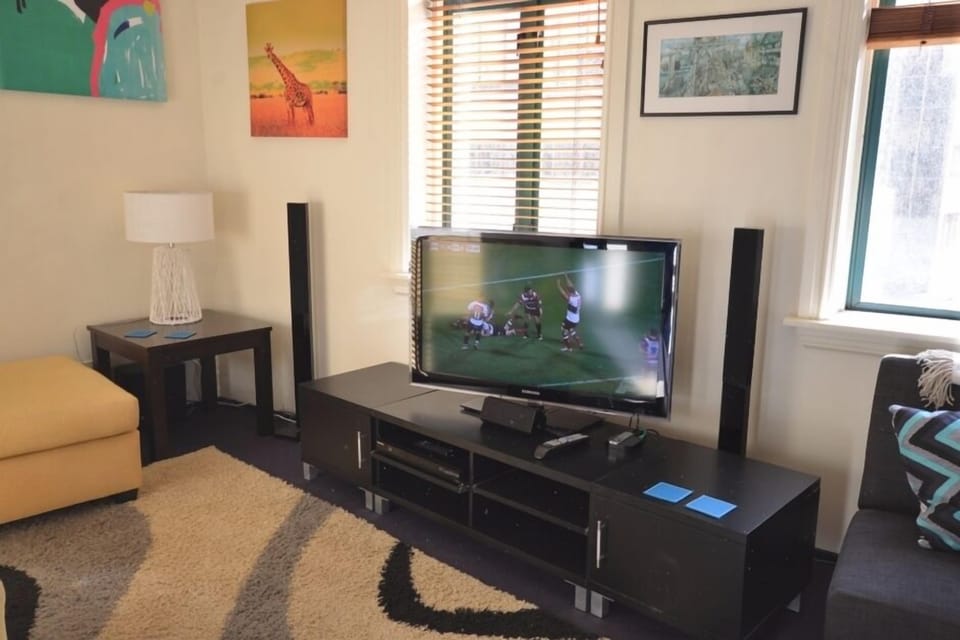 TV has Freeview and Netflix, DVD and surround sound