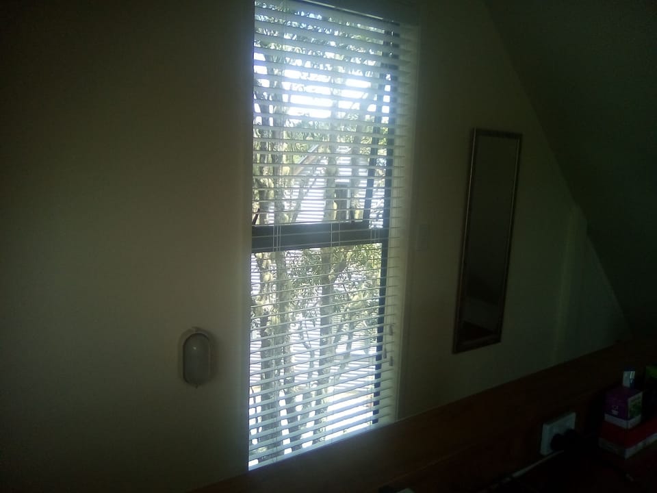 Side window