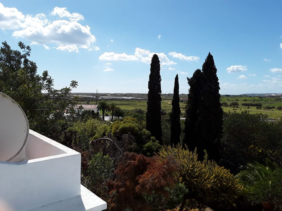 View from terrace 