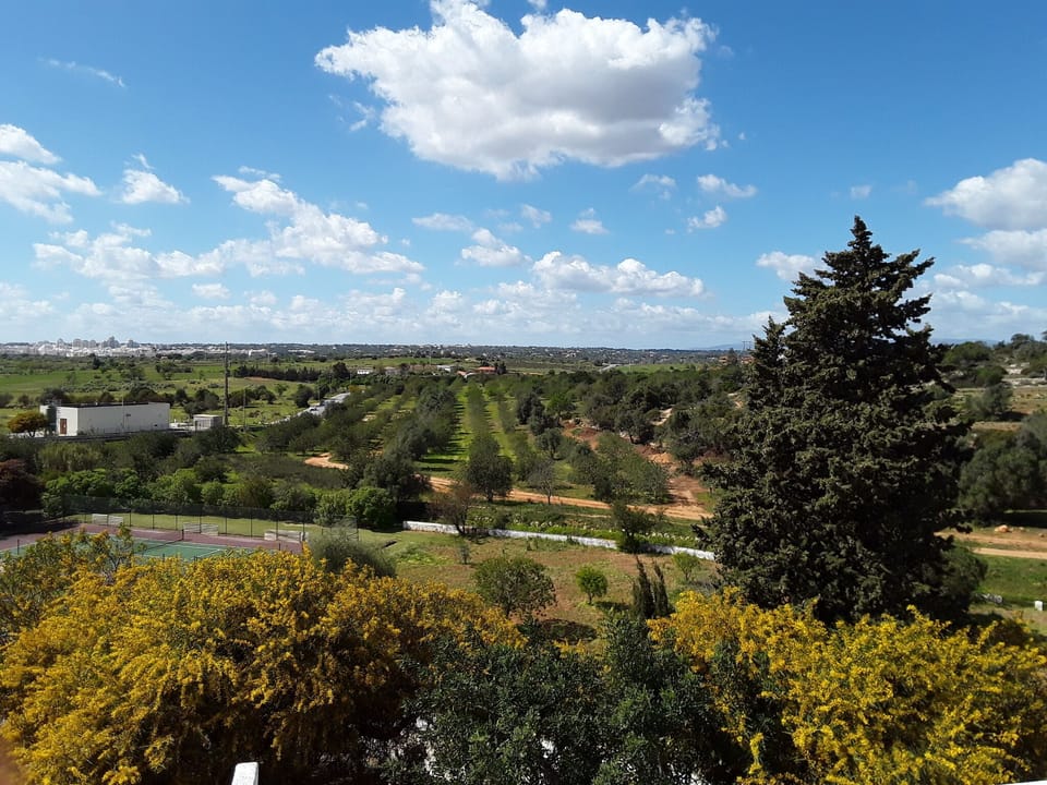 View from terrace 