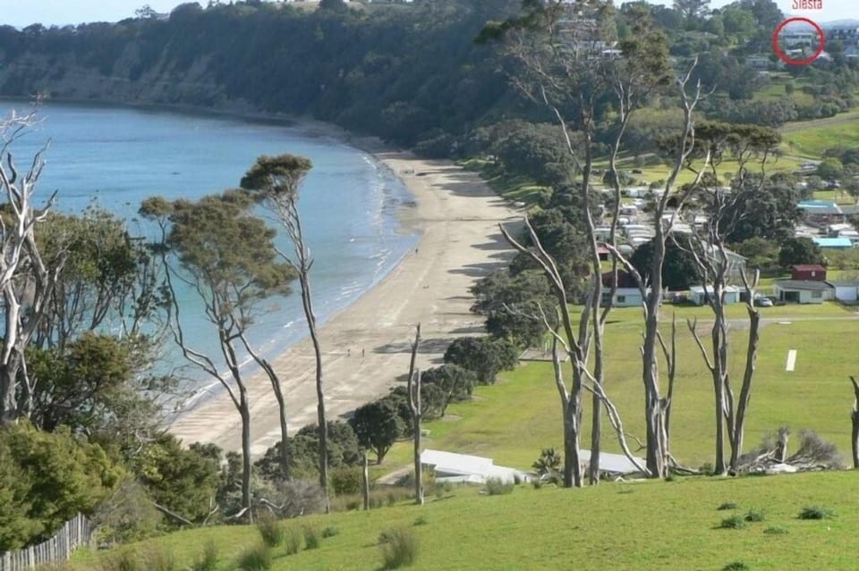 Martins Bay