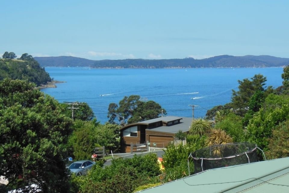 View from deck