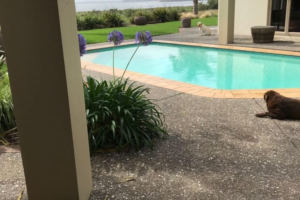 View from cottage