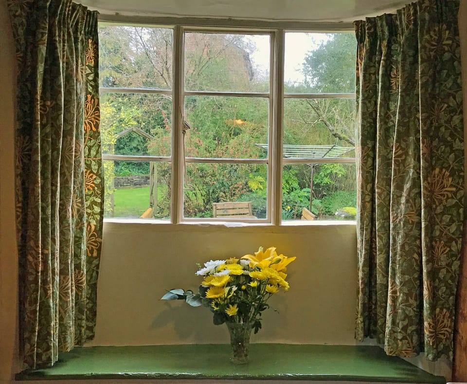 View of garden from dining room window