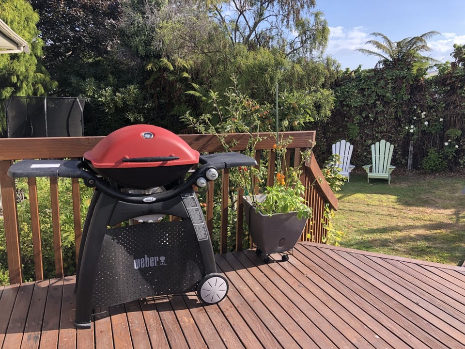 Weber bbq