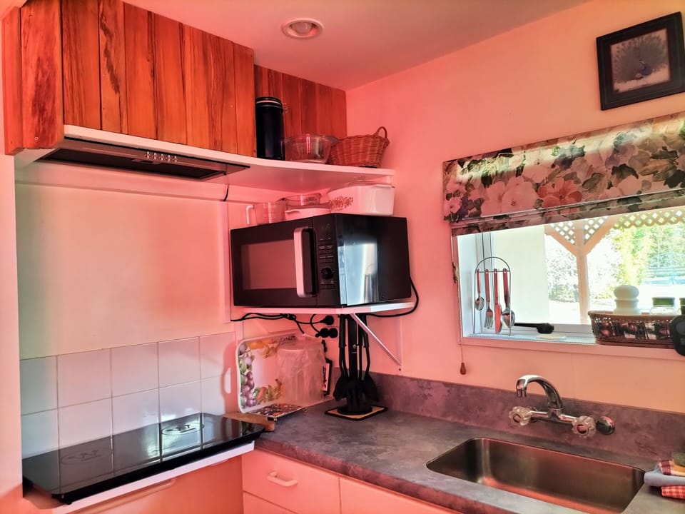 Kitchenette with  Twin induction cooktop &  Convection convention Microwave