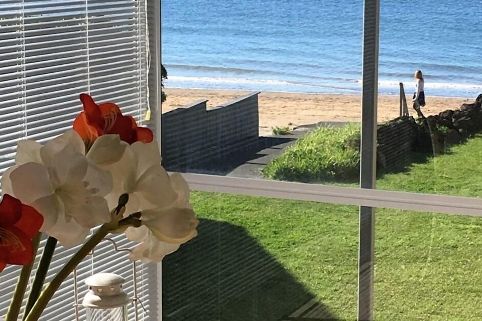 View from Dining