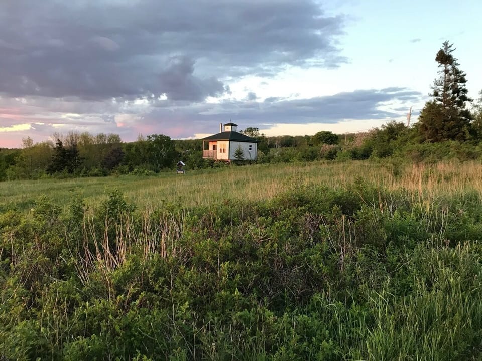 Alone in the field