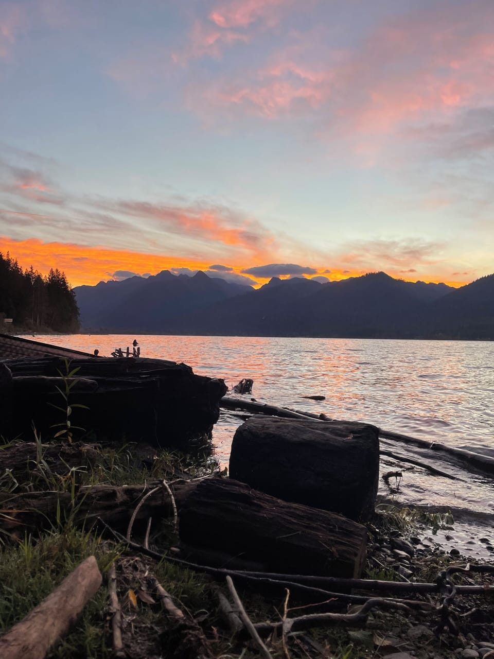 Morning view from the lake shore