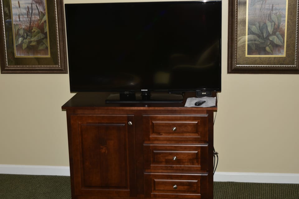 Television