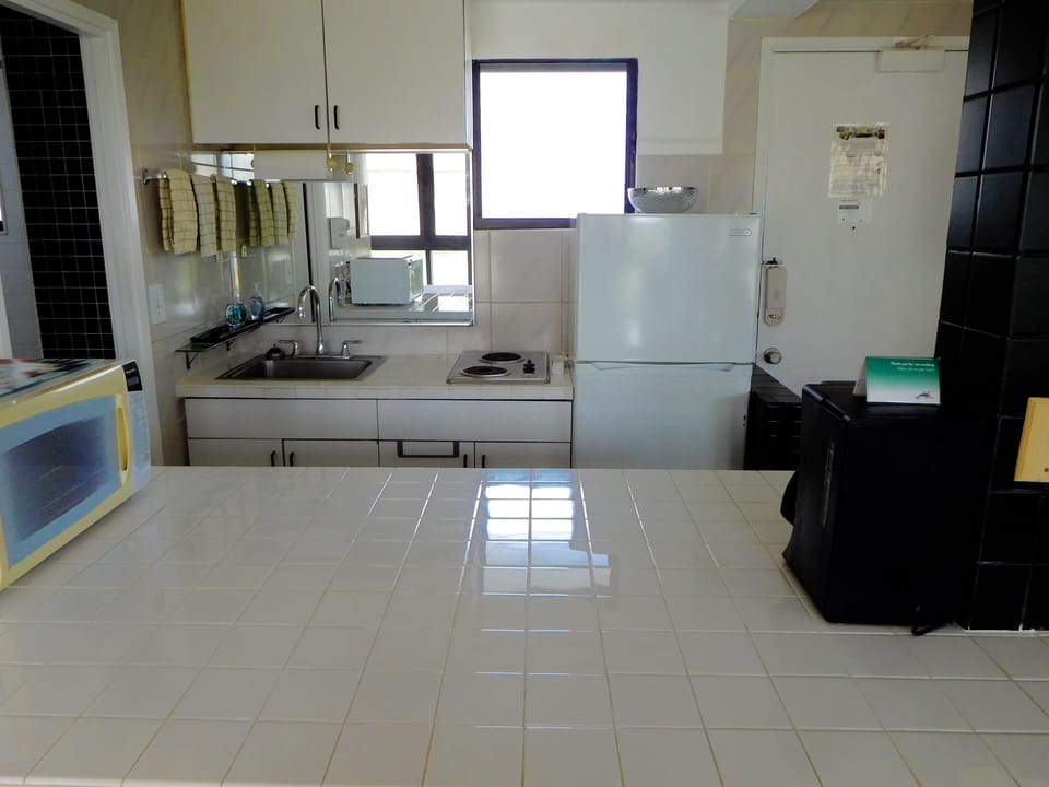 Full-Size Fridge; Cooktop Stove; Micro and countertop Oven