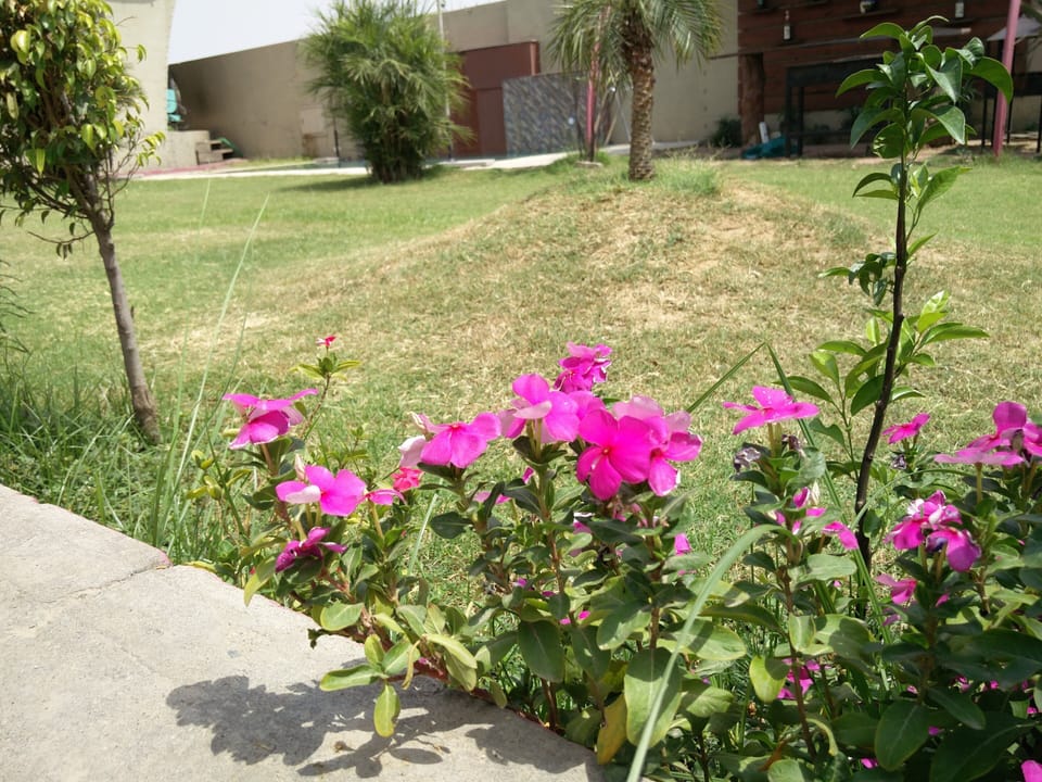 Property grounds