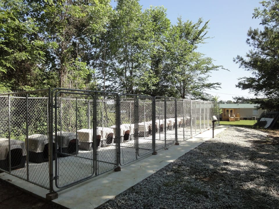 16 run kennels with lights and water sit to the south side of the Farmhouse