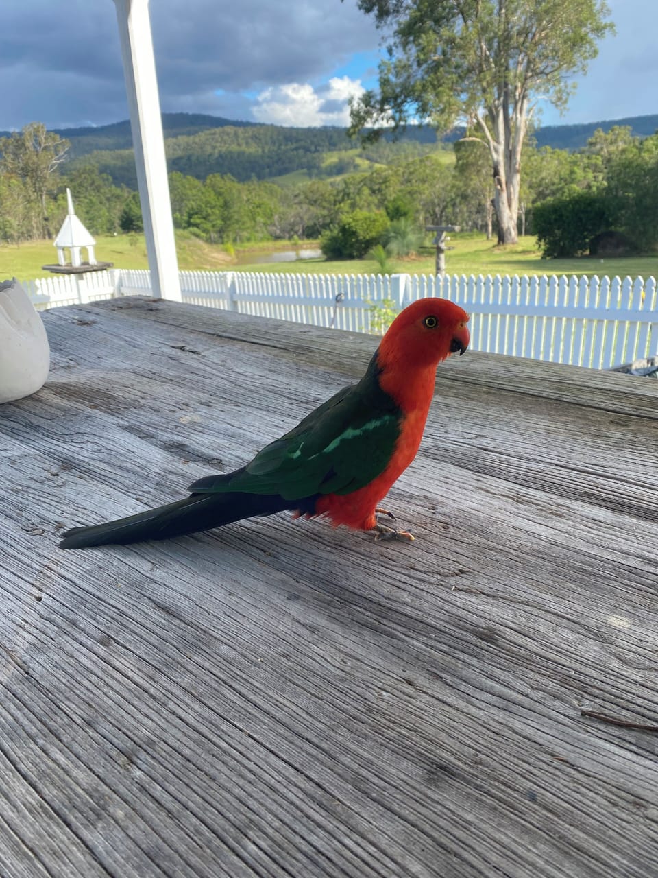View from property