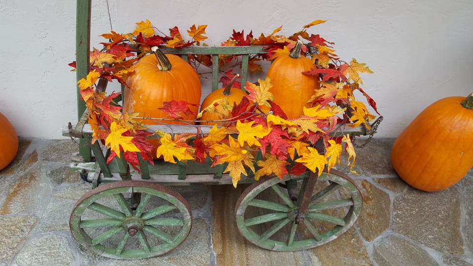 Celebrating Autumn
